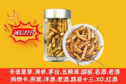 抚州市南丰回收散虫草