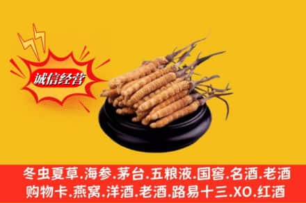 抚州市南丰名酒回收冬虫夏草.jpg